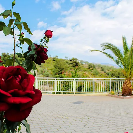 Diamond Limenaria (Thasos)