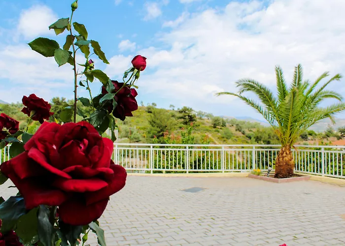 Diamond Λιμενάρια