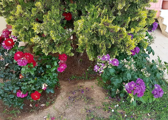 Ξενοδοχείο Diamond