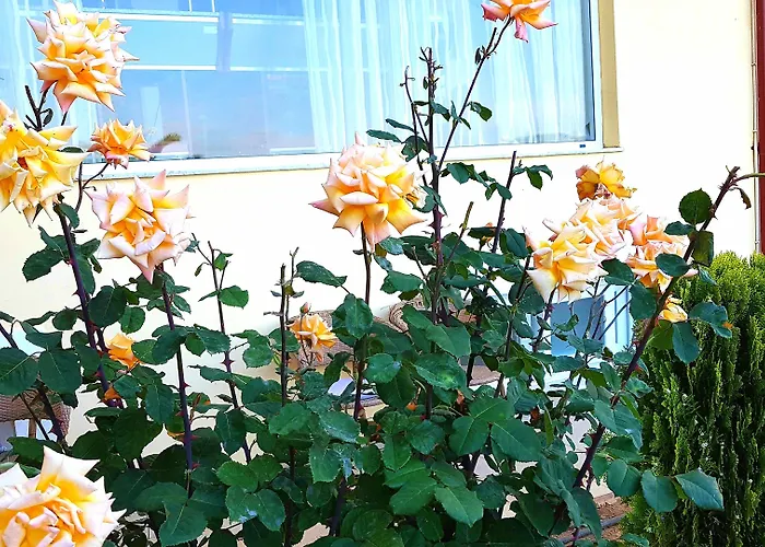 Ξενοδοχείο Diamond Λιμενάρια