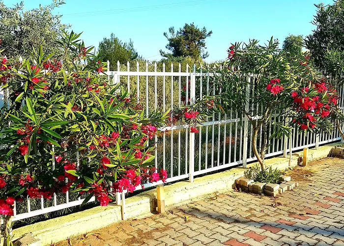 Ξενοδοχείο Diamond 3*