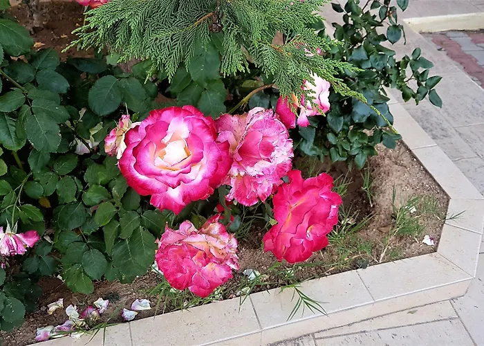 Ξενοδοχείο Diamond